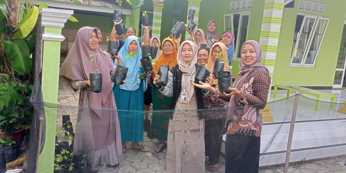 Budidaya Tanaman Sayur